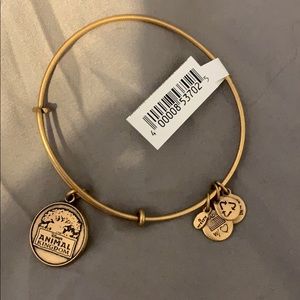 Disney: ALEX AND ANI Gold bracelet